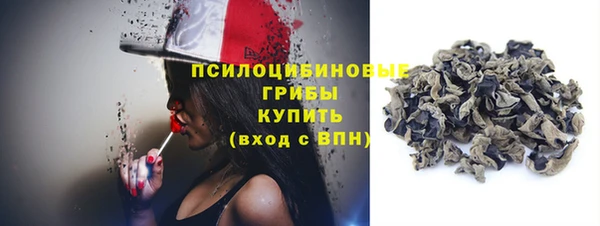 трава Пересвет